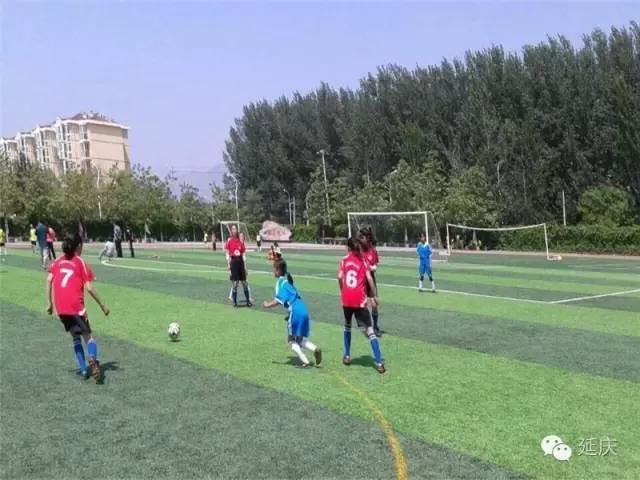 延庆区第十九届校园足球联赛,延庆区2024足球赛高中