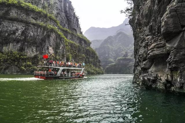 端午节你吃了粽子了吗,端午节你家吃粽子了吗