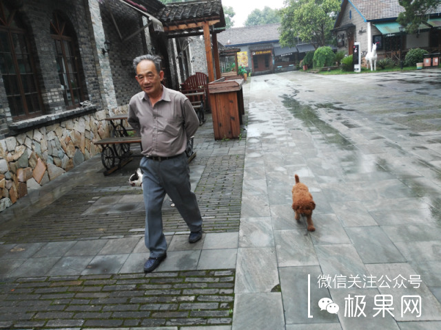 荣耀的这个电话充满心机，镜头竟可以翻转180°