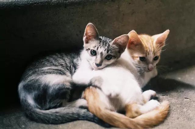 张小娴爱情时光,张小娴所有的相遇