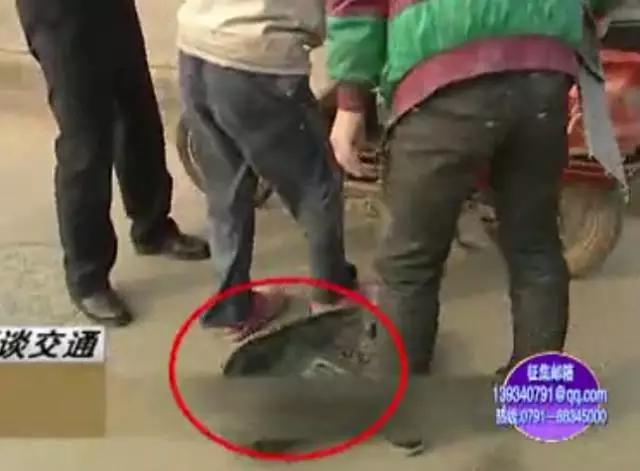 那个穿着制服、说着川普,却红到岛国的成都男子,原来是他!