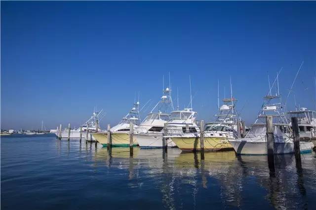 棕榈滩美景,棕榈滩沙滩