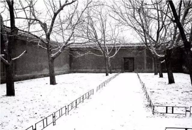 史铁生墙下短记深度解析,史铁生墙下短记赏析