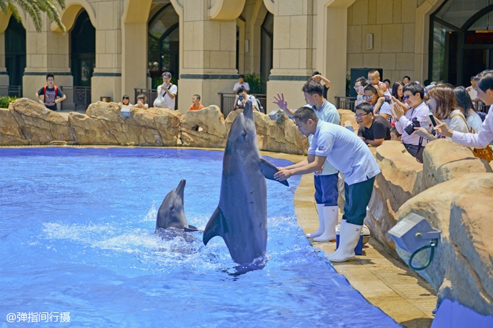 珠海长隆旅游攻略和住宿,珠海长隆周末有什么活动