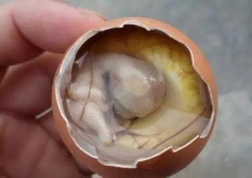 真正的福建美食,福建十大恶心料理