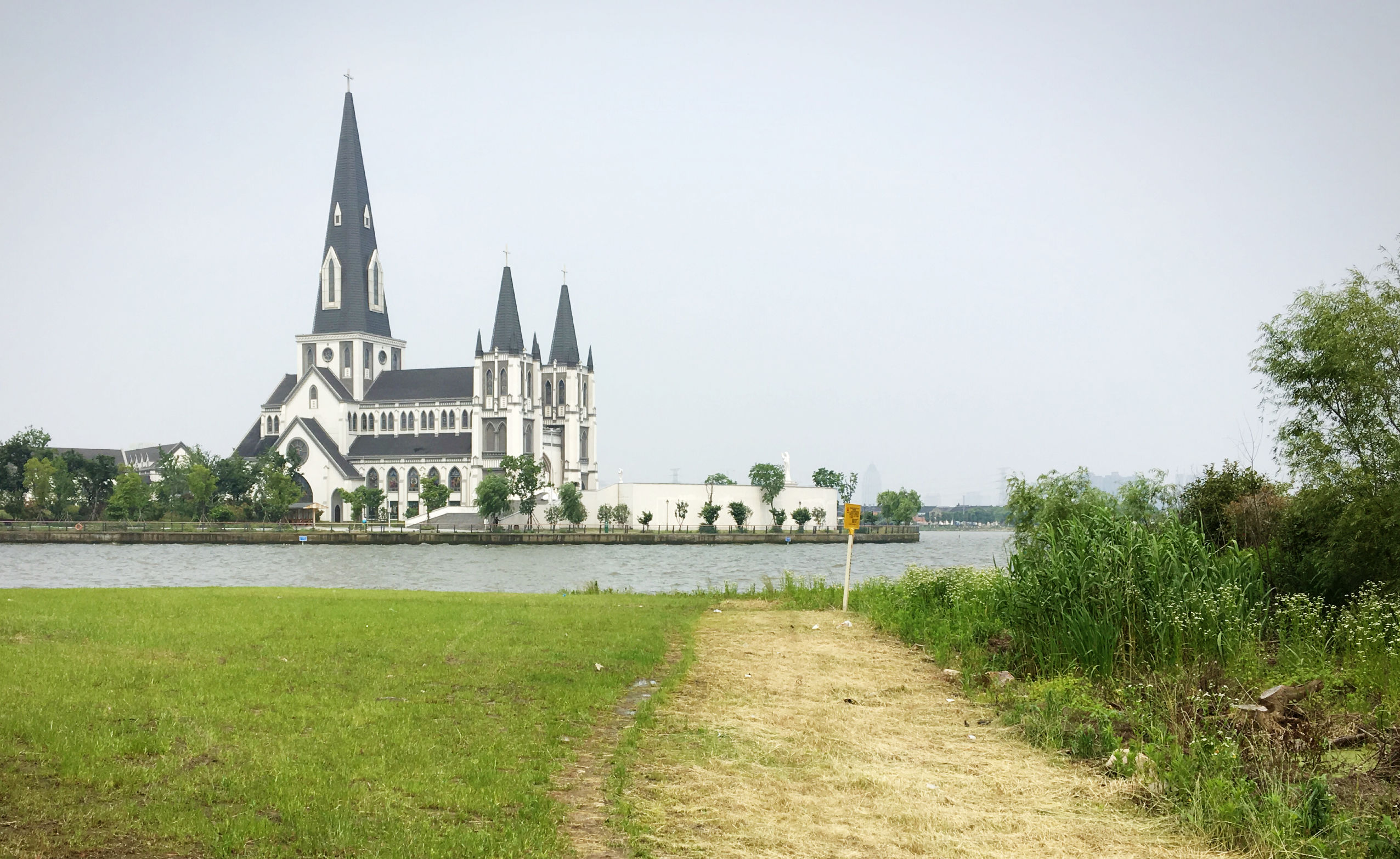 阿拉斯加犬智商排名第几,边牧和阿拉斯加智商谁高