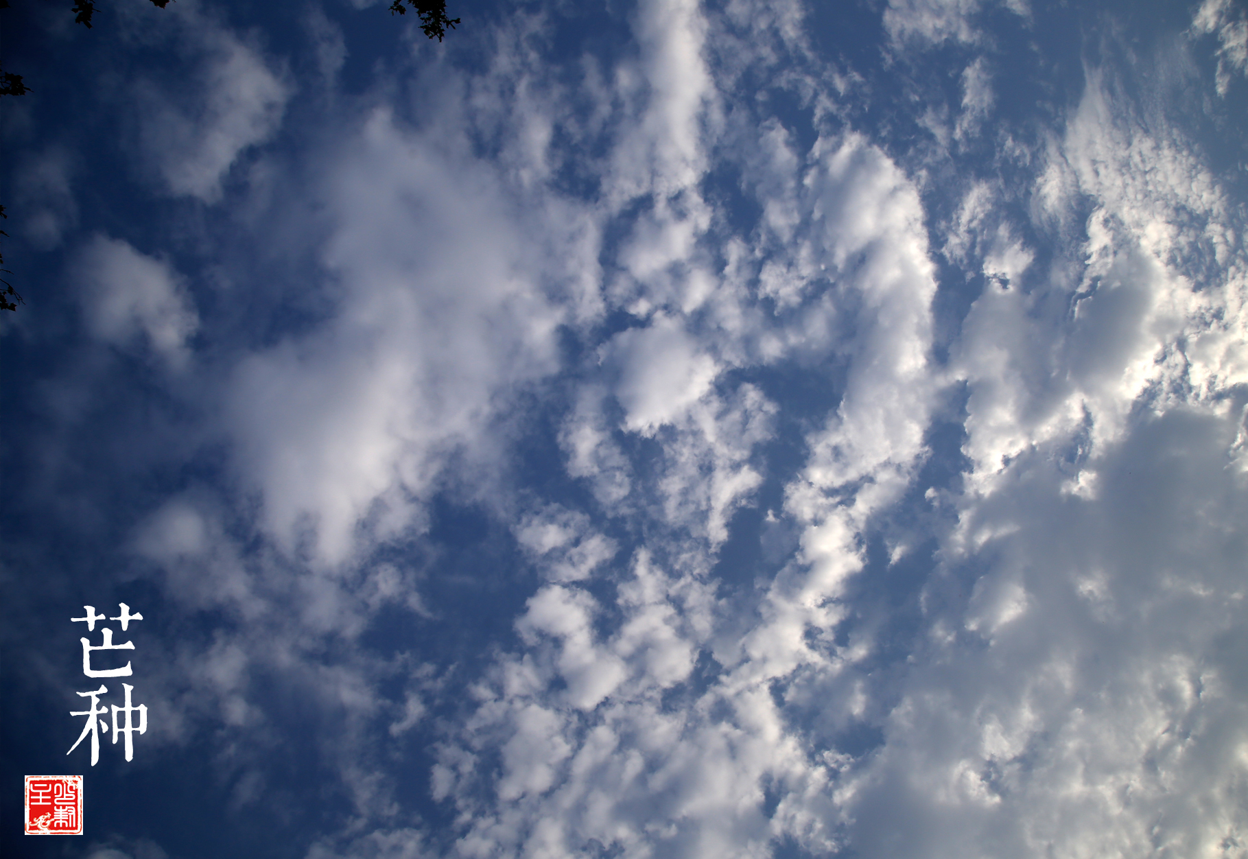 猴年马月是什么说法,猴年马月有什么说法