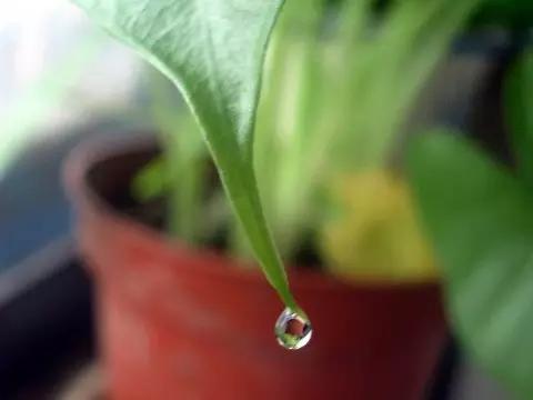 3岁男孩舔了一口,抢救8小时才抢救了回来,这东西你家一定也有