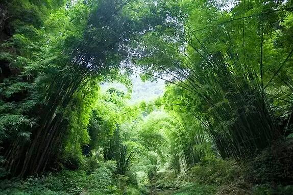 涓鸿鑰佸﹩娆㈠績鐢蜂汉鍋氫簡娴极鐨勪簨,涓鸿濡诲瓙娆㈠績涓嬪帹鍋氶キ