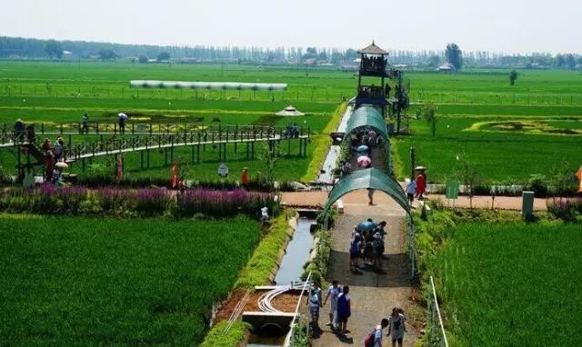 沈阳夏季夜晚游玩的地方,沈阳7月份适合旅游的地方