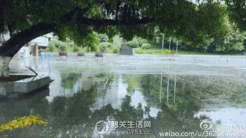 乐昌重视体育的学校,韶关市乐昌中学