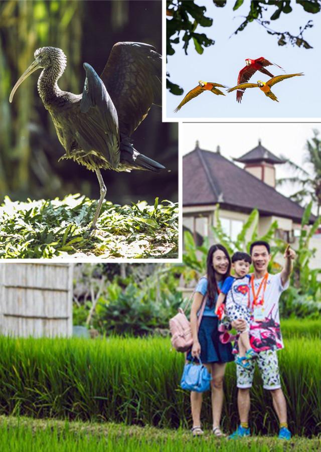 听说最会撩的小妖精都有两面！炫色安利耶格中国