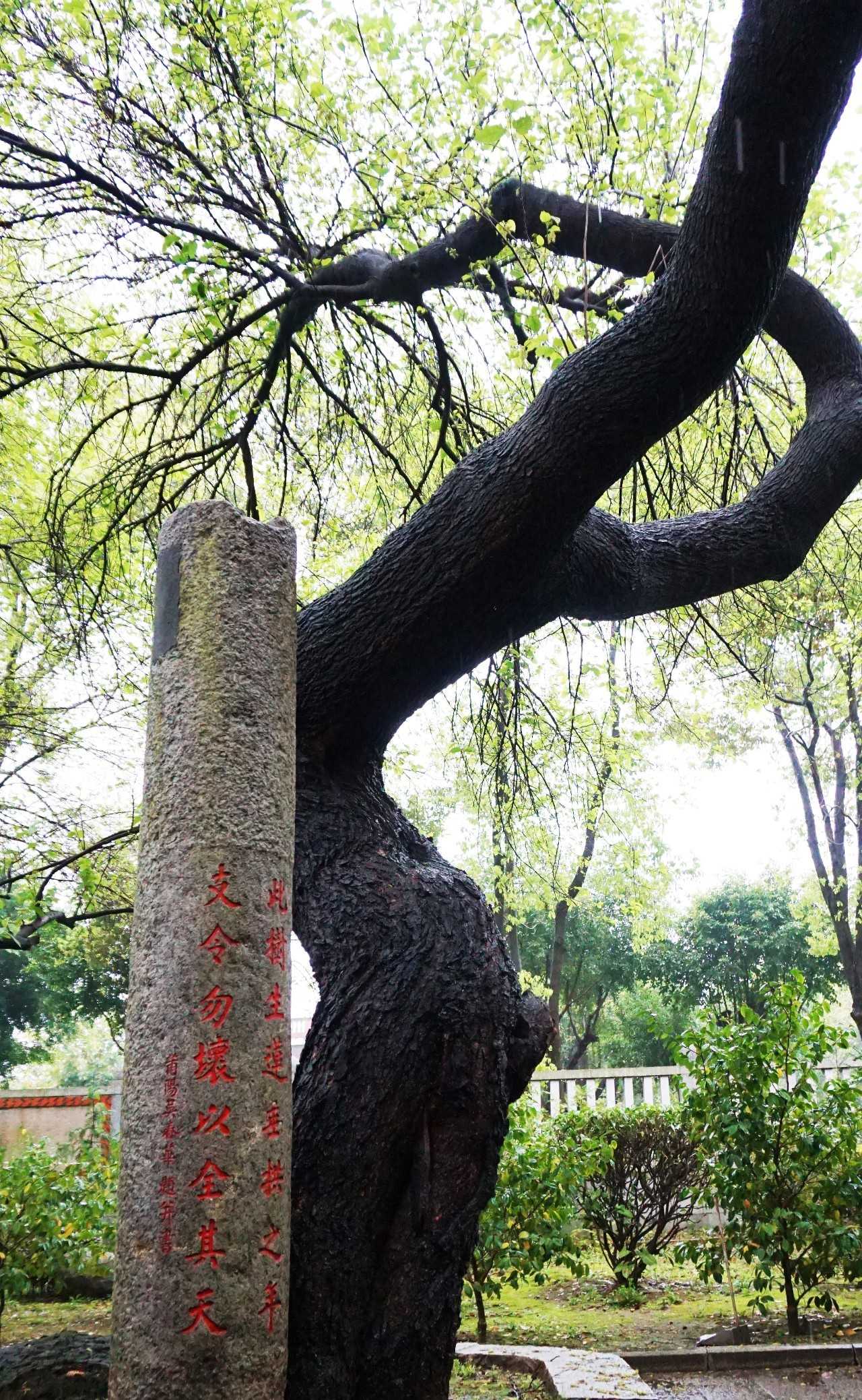 福建怎么玩最佳路线,近期福建怎么玩