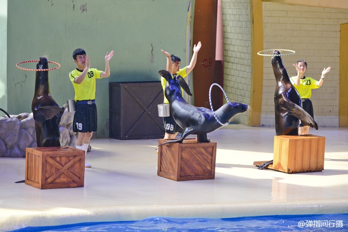 珠海长隆旅游攻略和住宿,珠海长隆周末有什么活动