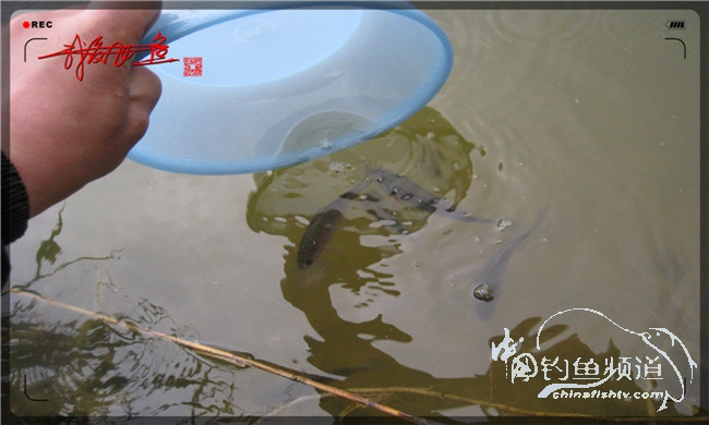 风雨无阻之我爱飞鱼去‘*欢寻**’！