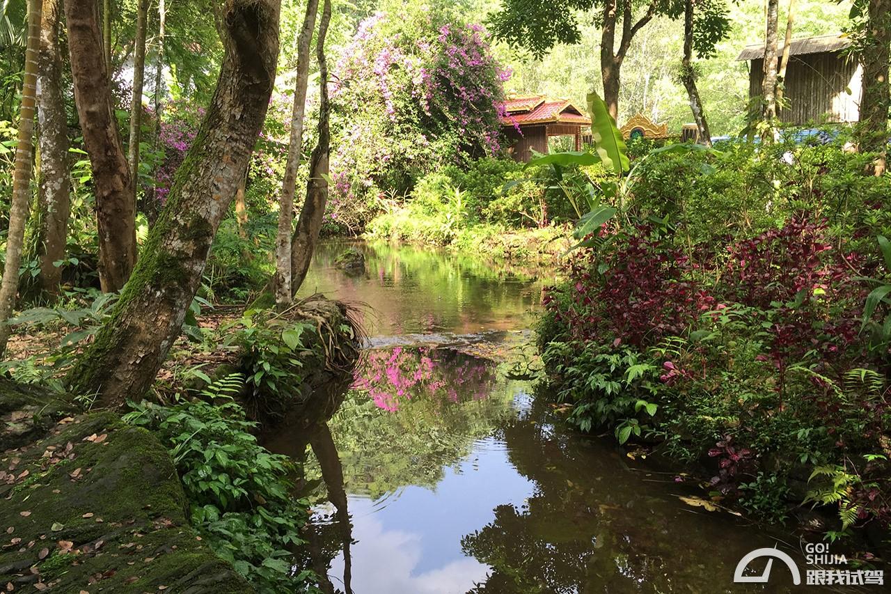 g哥参加的节目,g哥逃离塔科夫