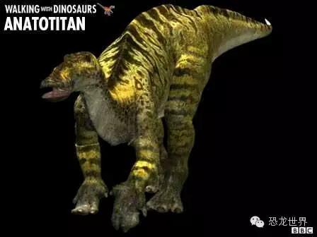 地球生物进化史第1集 (古生物三部曲bbc)