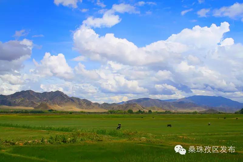 旅游景点介绍以及美食,旅游景点介绍攻略