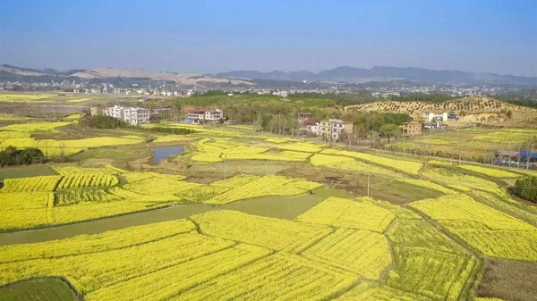 潇湘春早｜比一比晒一晒永州哪个县区最火热！