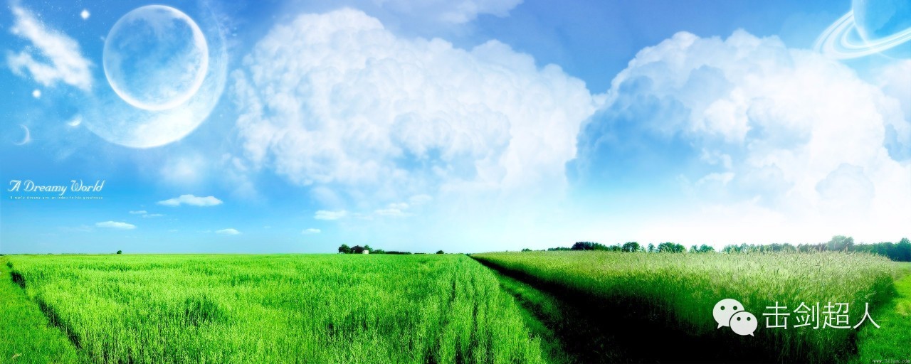 盘点足球场上裁判挨打,盘点裁判球被伤到的次数