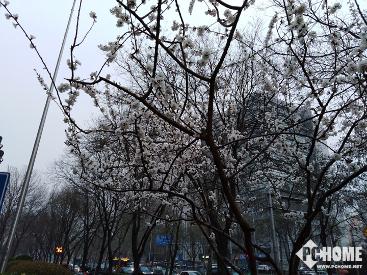 华为畅享8怎样玩出高级感,华为畅享8上手评测