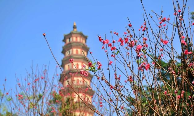 外出踏青正当时,帽峰山森林公园踏青