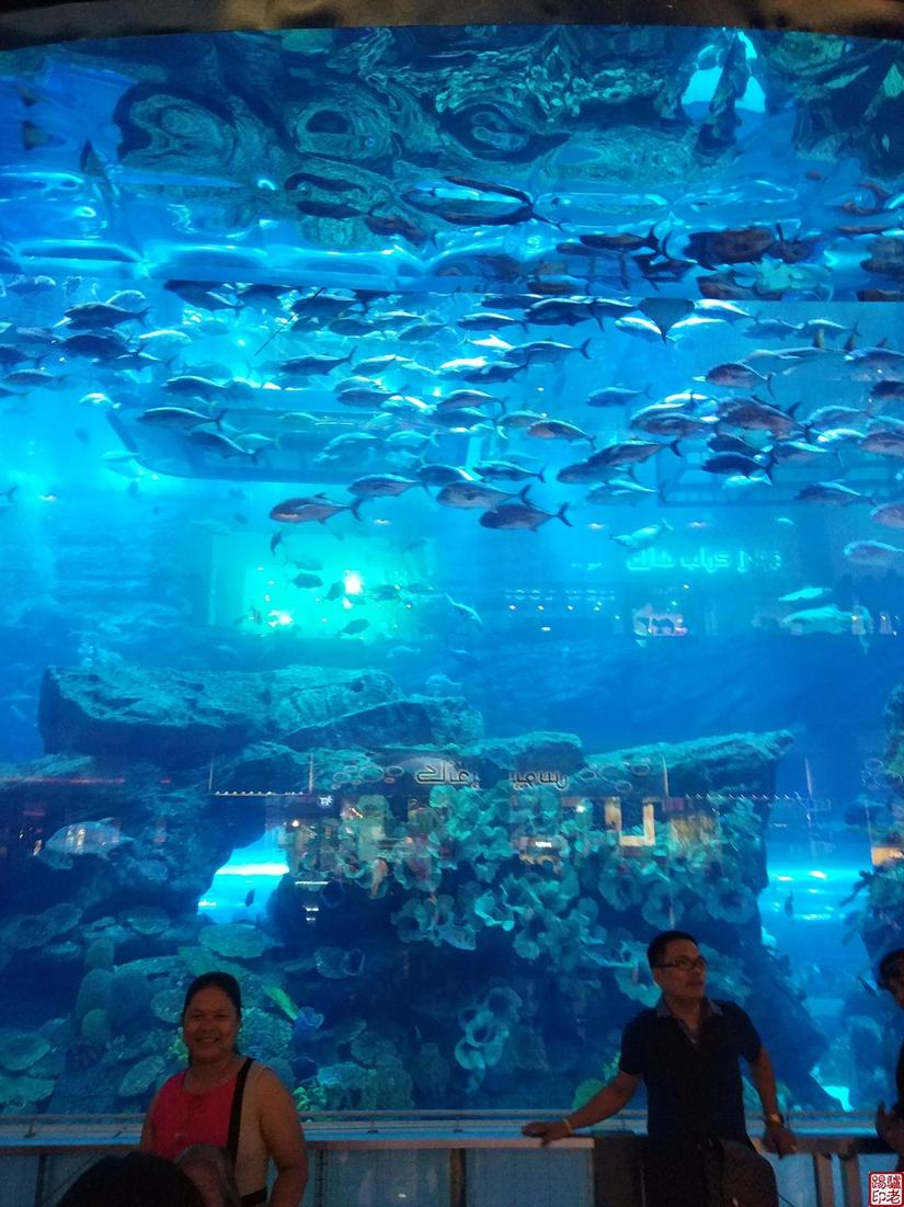 迪拜哈利法塔电梯速度,迪拜最高大楼哈利法塔