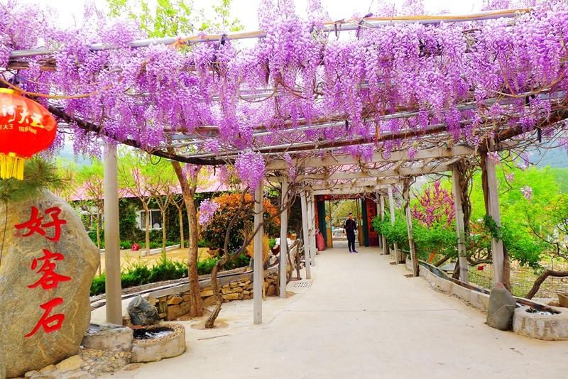 蒙山县反腐,蒙山县反腐新闻