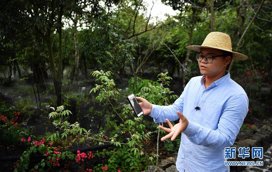 立足独特优势勇立改革潮头——习*平近**总书记在海南考察回访记