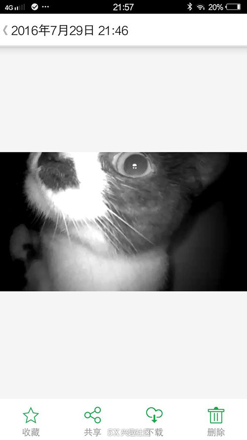 继续体验好玩好用也“好贵”的网件Arlo爱洛纯无线