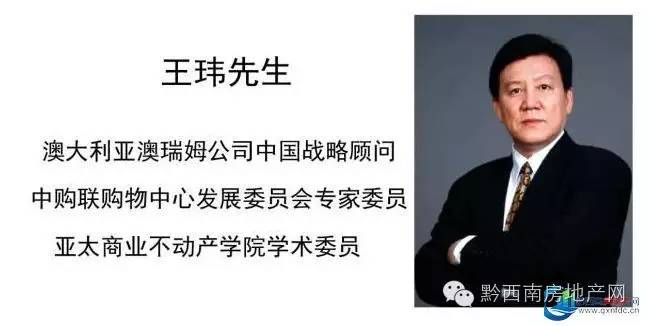 王玮房地产,王玮商业洞察