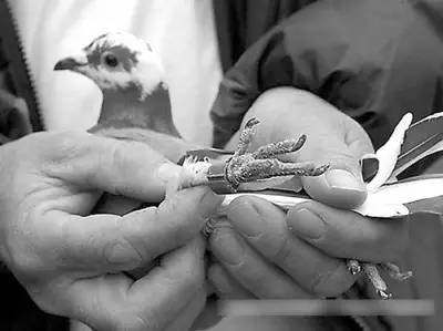 高考作弊犯法吗,高考怎么防止作弊