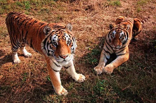 上海地铁10号线各站点有哪些景点,上海地铁沿线风景点