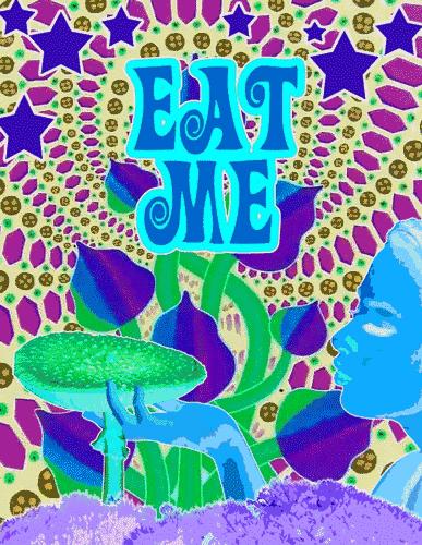 云南消防魔性视频提醒防吃菌中毒 (云南吃菌中毒搞笑视频)