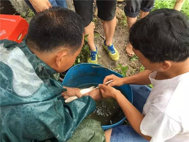 从种苗到流通，海大欲建价值链优势雄霸惠州市场