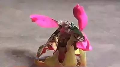 惊！祝生道具变伤人利器6岁女童被音乐蜡烛炸伤