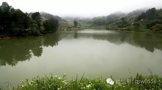 璧伴亶娼滃北,璧伴亶瀹夊窘瀹夊簡