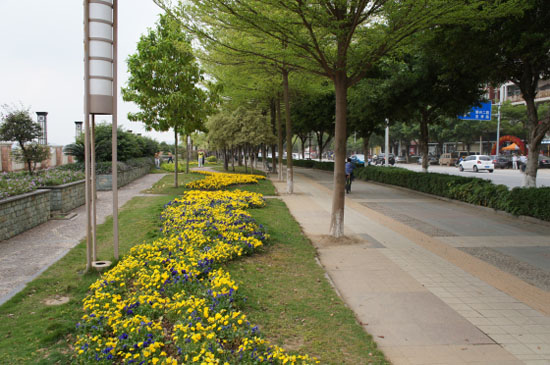 沧州有什么项目正在建设,沧州市城市建设怎么样