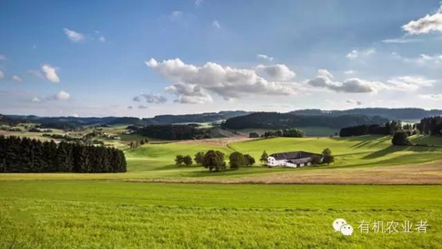 曾经|结伴跑在乡间小路上，跑过了整个童年~~