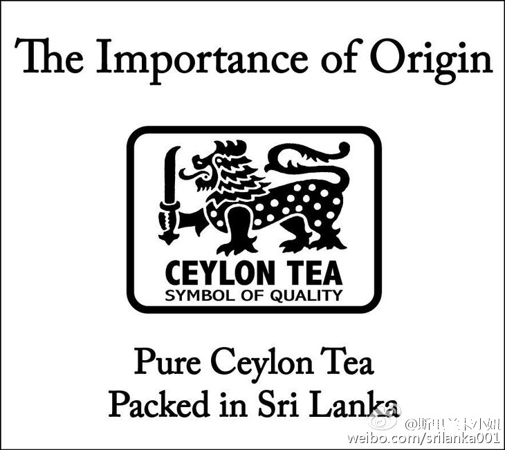 新手小白入门指南买茶小技巧,小白学茶的100个基础