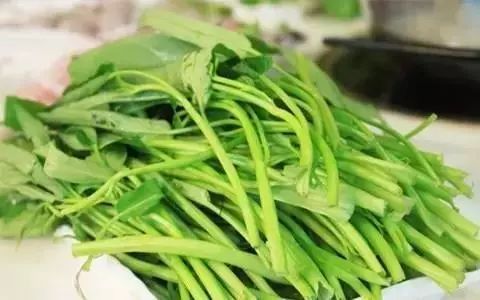 正安真实事件,正安谣言