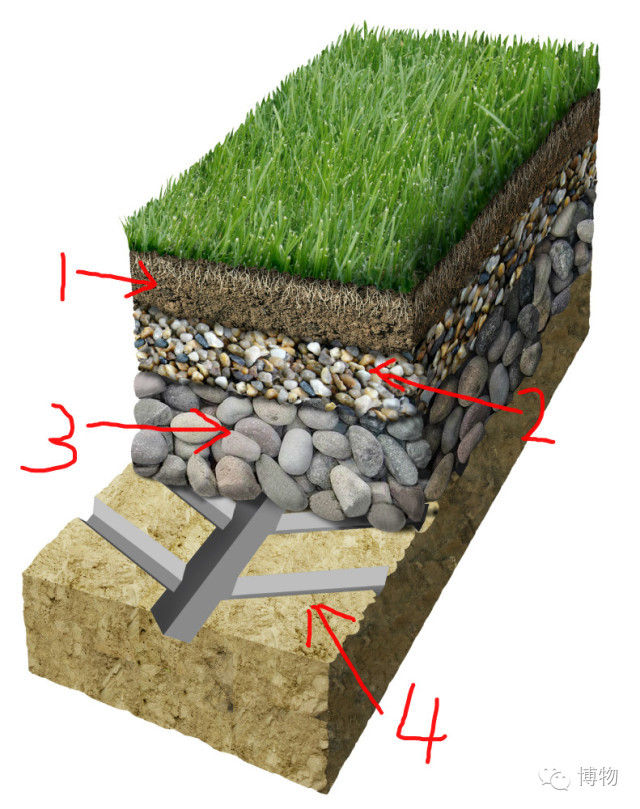 足球场草坪最好的,足球场的草坪是一般的草坪吗