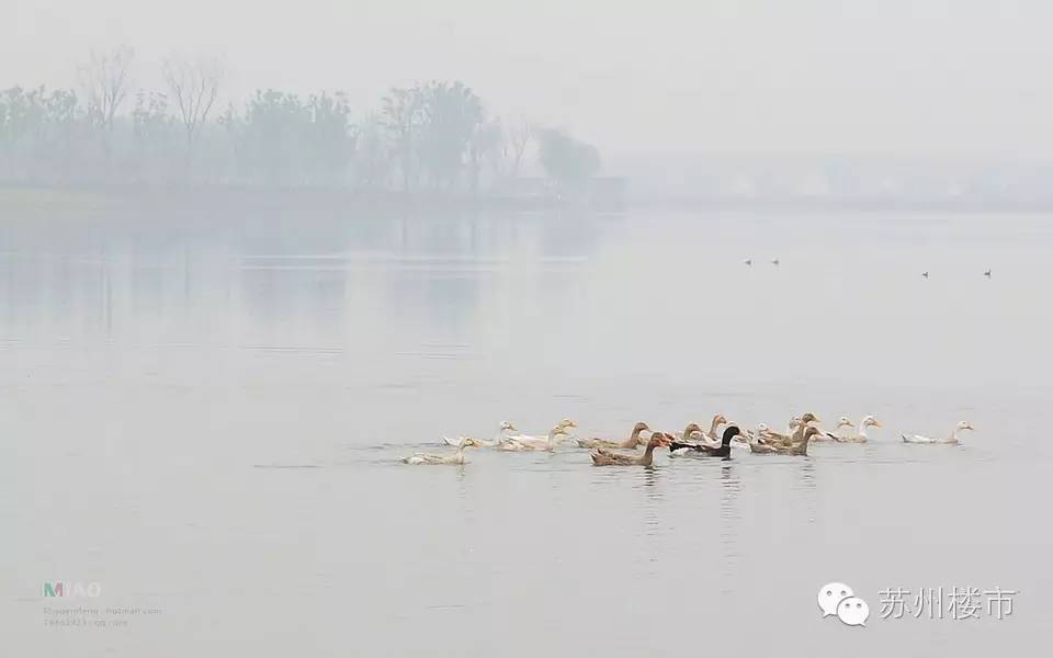 深度好文西*姑北**娘安家在苏州，讲述普通人如何赚到第一个一百万