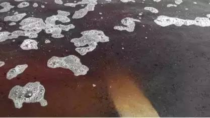 虾肠炎最佳治疗时间,虾肠炎是什么原因引起的