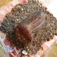 好先生惠灵顿牛排喝的什么酒,好先生在家做惠灵顿牛排无数遍