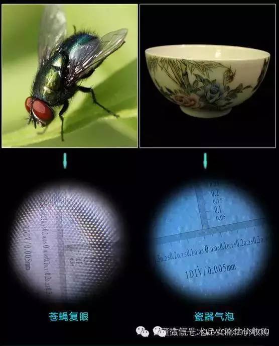 10000高倍放大显微镜价格二手,专家同款的鉴定显微镜