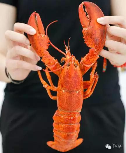 绌鸿繍椤剁骇娴烽矞椋熸潗,绌鸿繍娴烽矞鏈夊懗