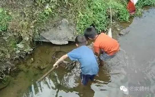 客家人捕鱼的视频,客家传统打鱼视频