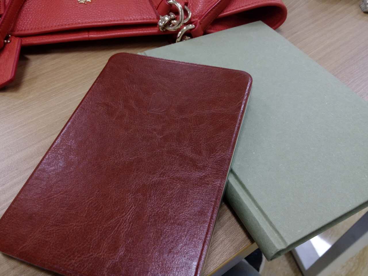 掌阅ireaderplus对比评测,掌阅ireader各种对比