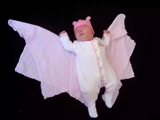 萌宝宝的超萌创意照,小宝宝萌照图集